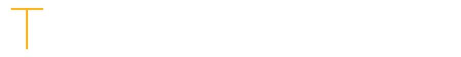 revista
